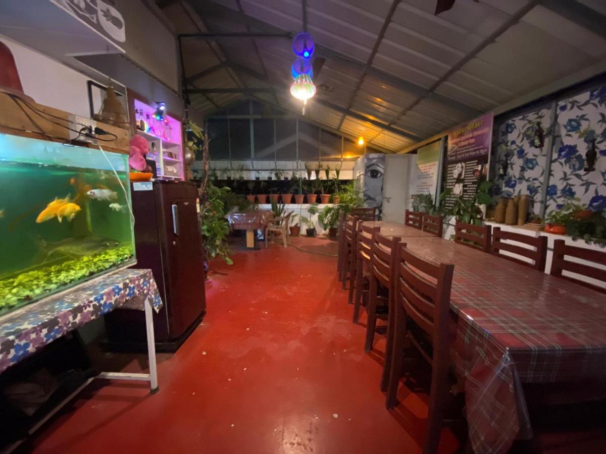Bed & Breakfast Gloria Kochi